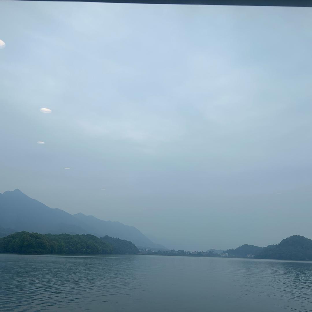 闲云流浪鹤