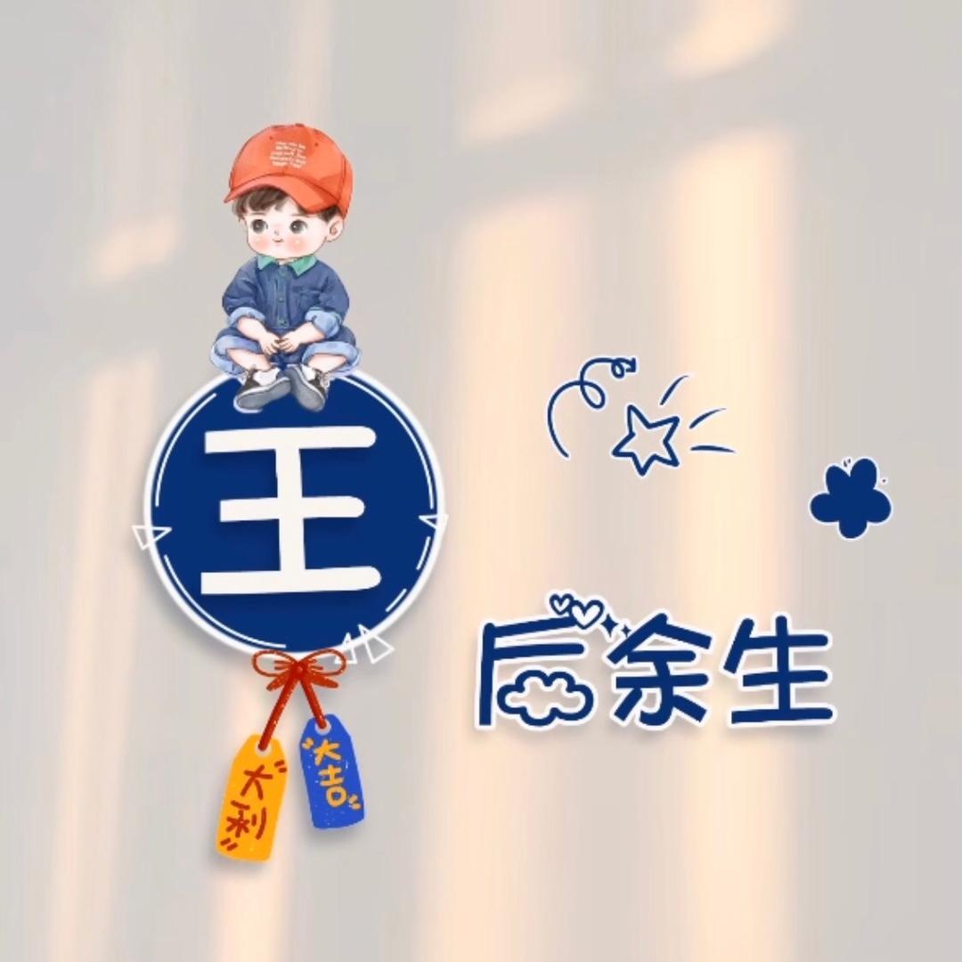 王路WL