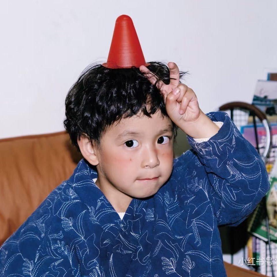 挂在天上的日是太阳