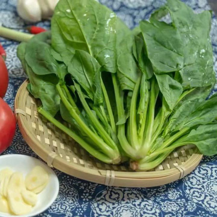 玲子美食记