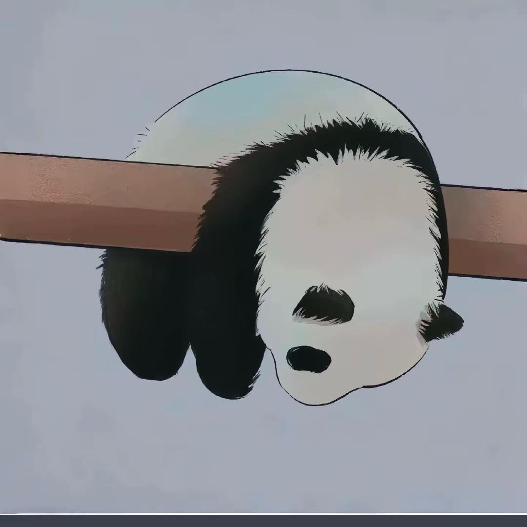 🌈🌈🌈kk（努力挣钱版）🍏