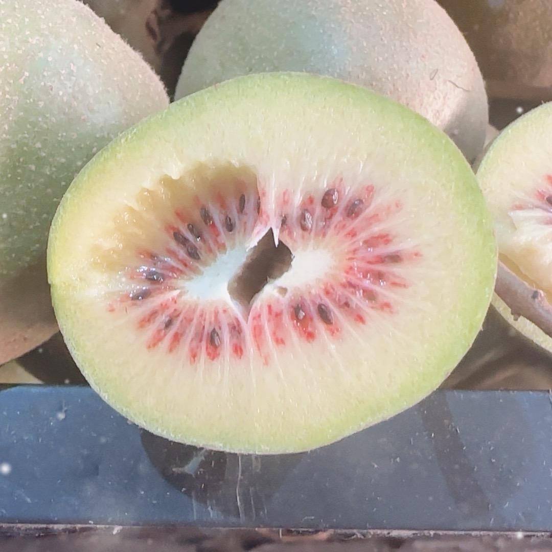 六盘水红心猕猴桃批发─小二