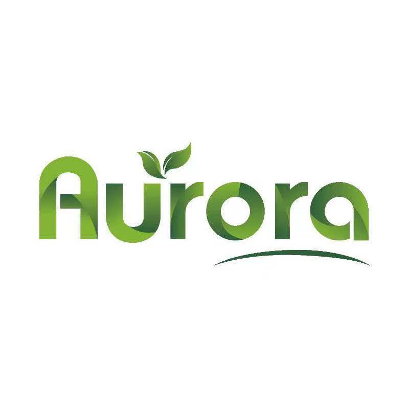 Aurora海外旗舰店