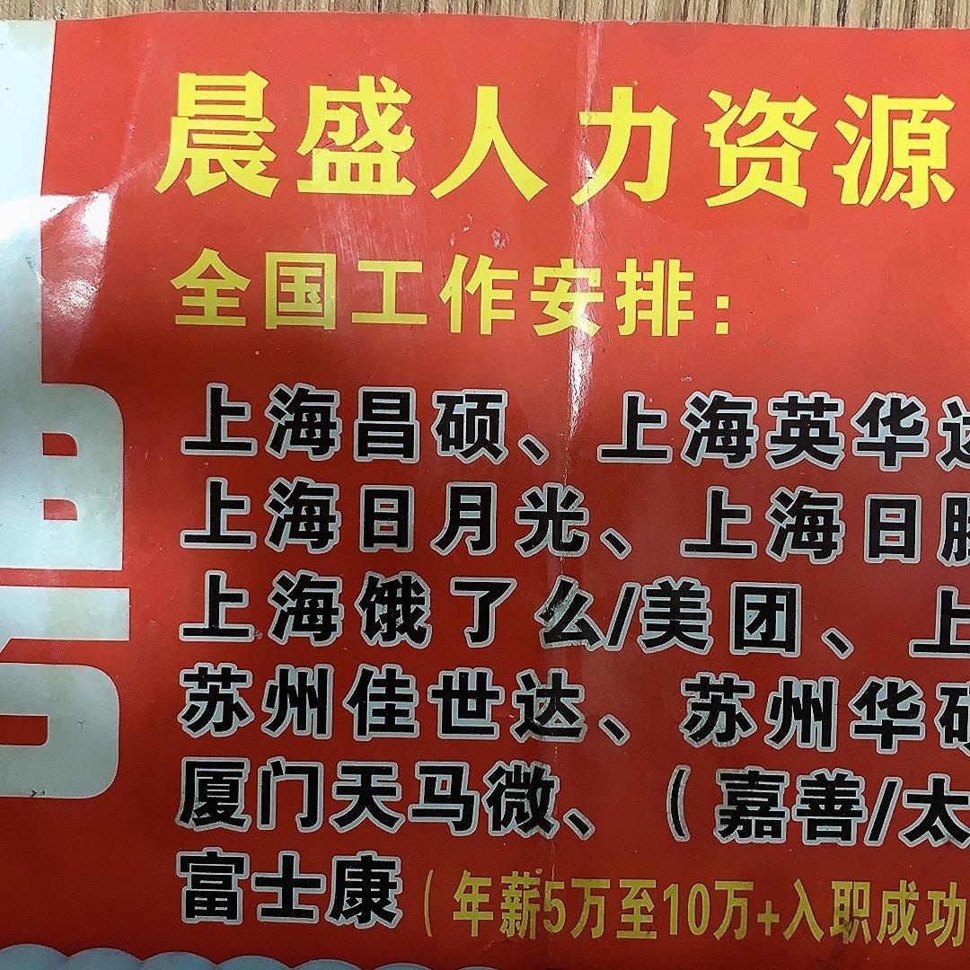 小九哥