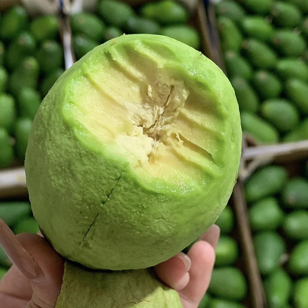 李锦园甄选·牛油果香飘