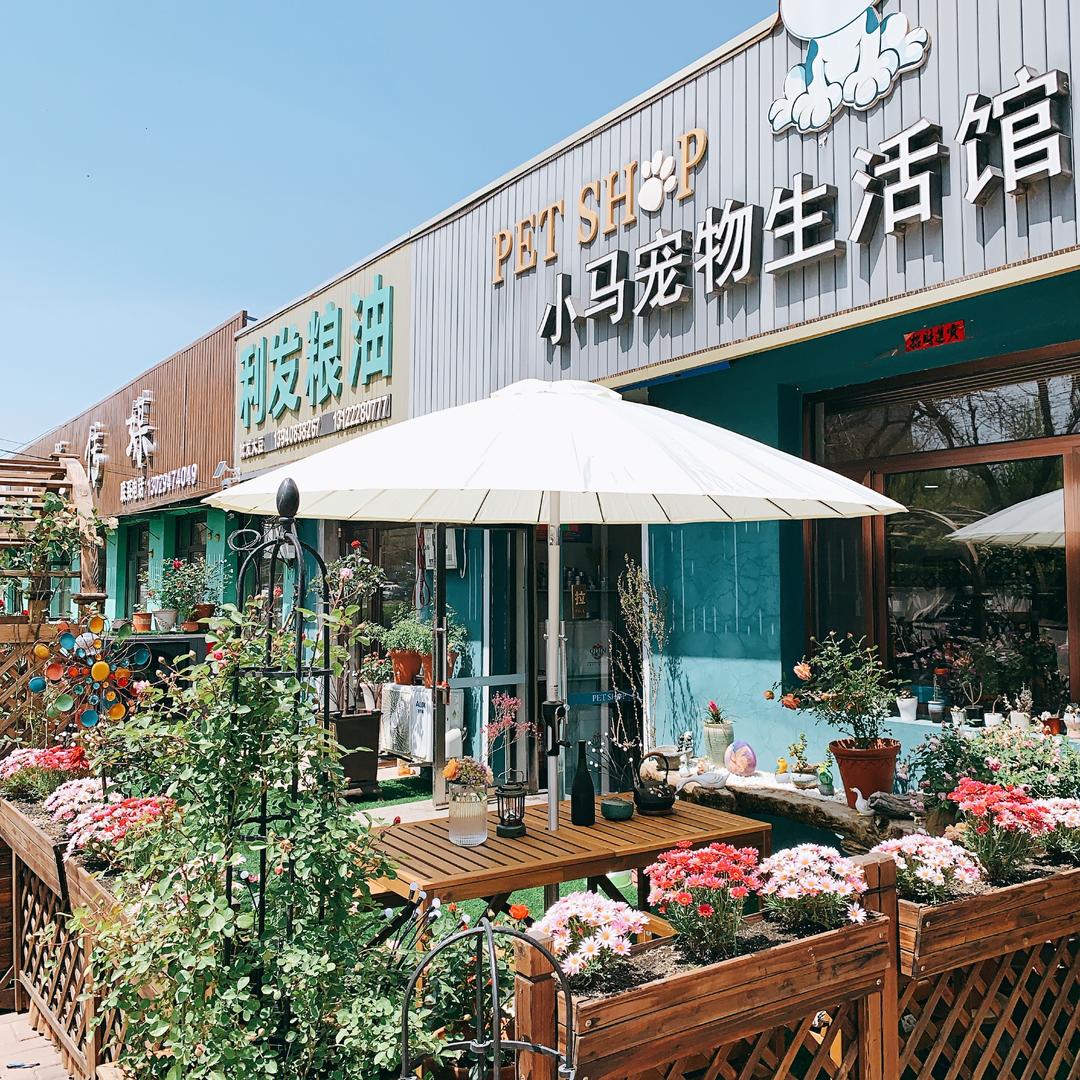 瓦房店小马宠物生活馆