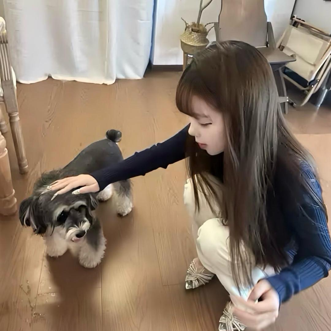 艳艳不吃香菜