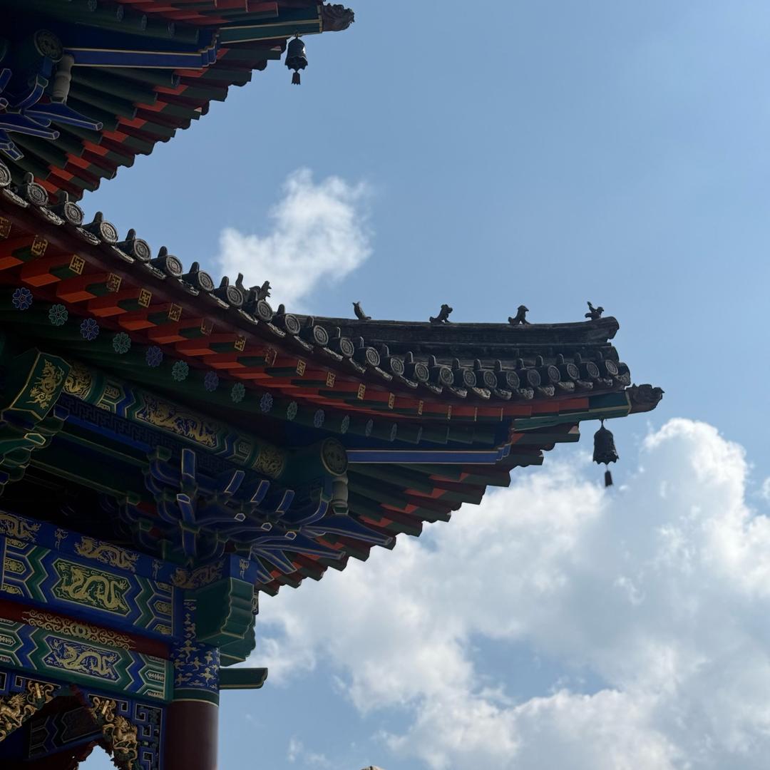 黑色腿毛