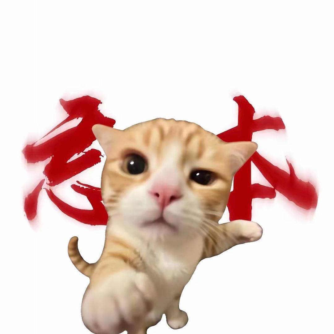 小伊.