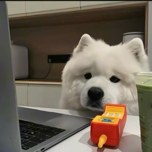 小龙不恋爱