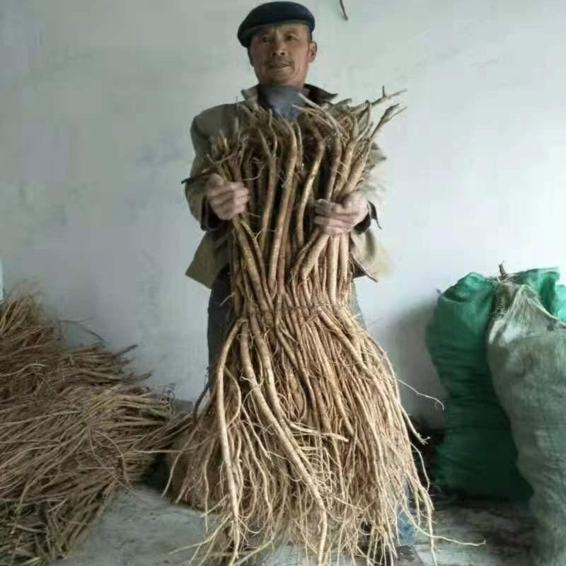 藏王中蜂养殖农民专业合作社企业店