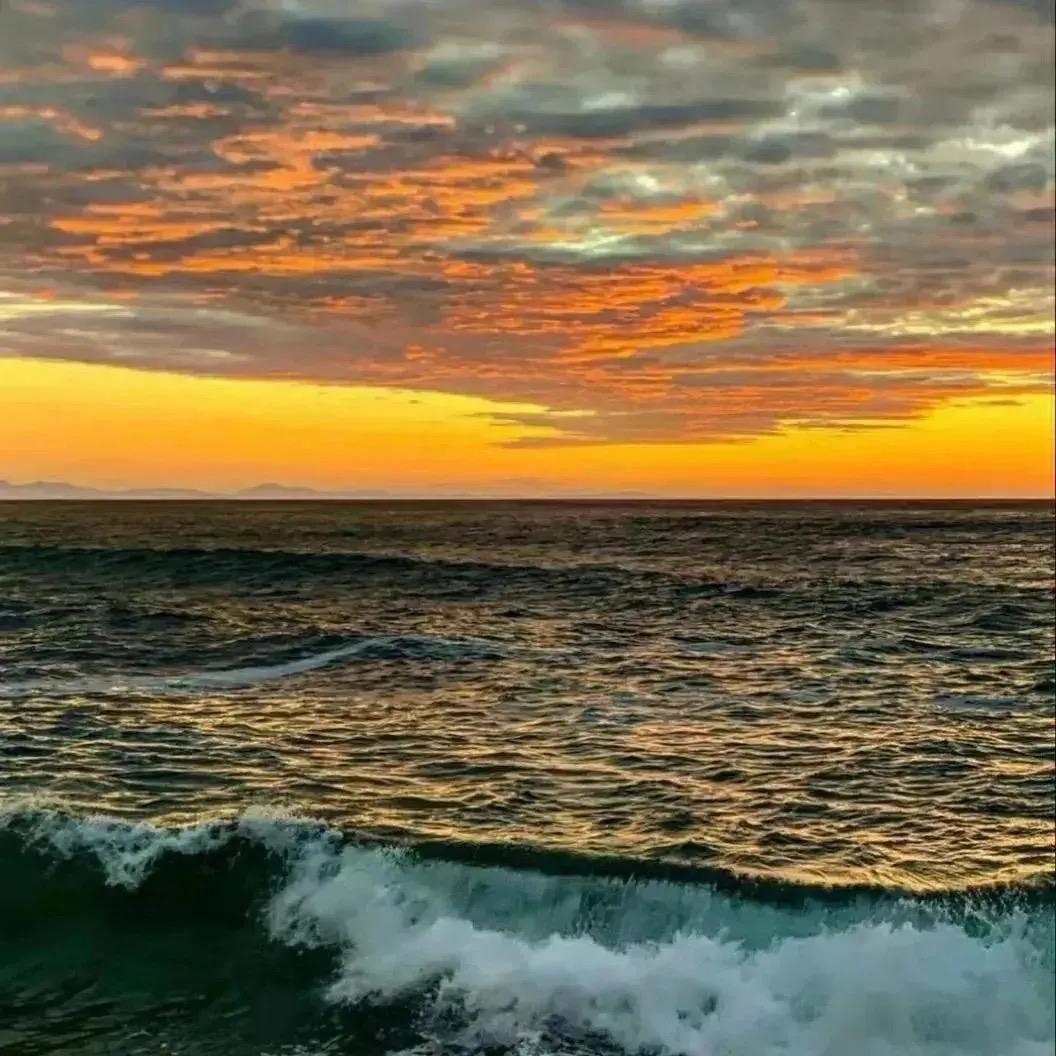 •关你什么柿🍅.