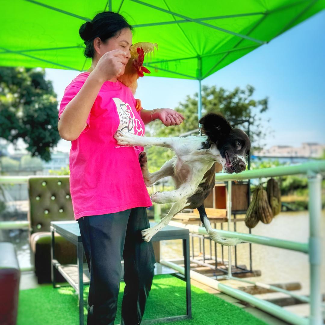 快乐姐宠物乐园