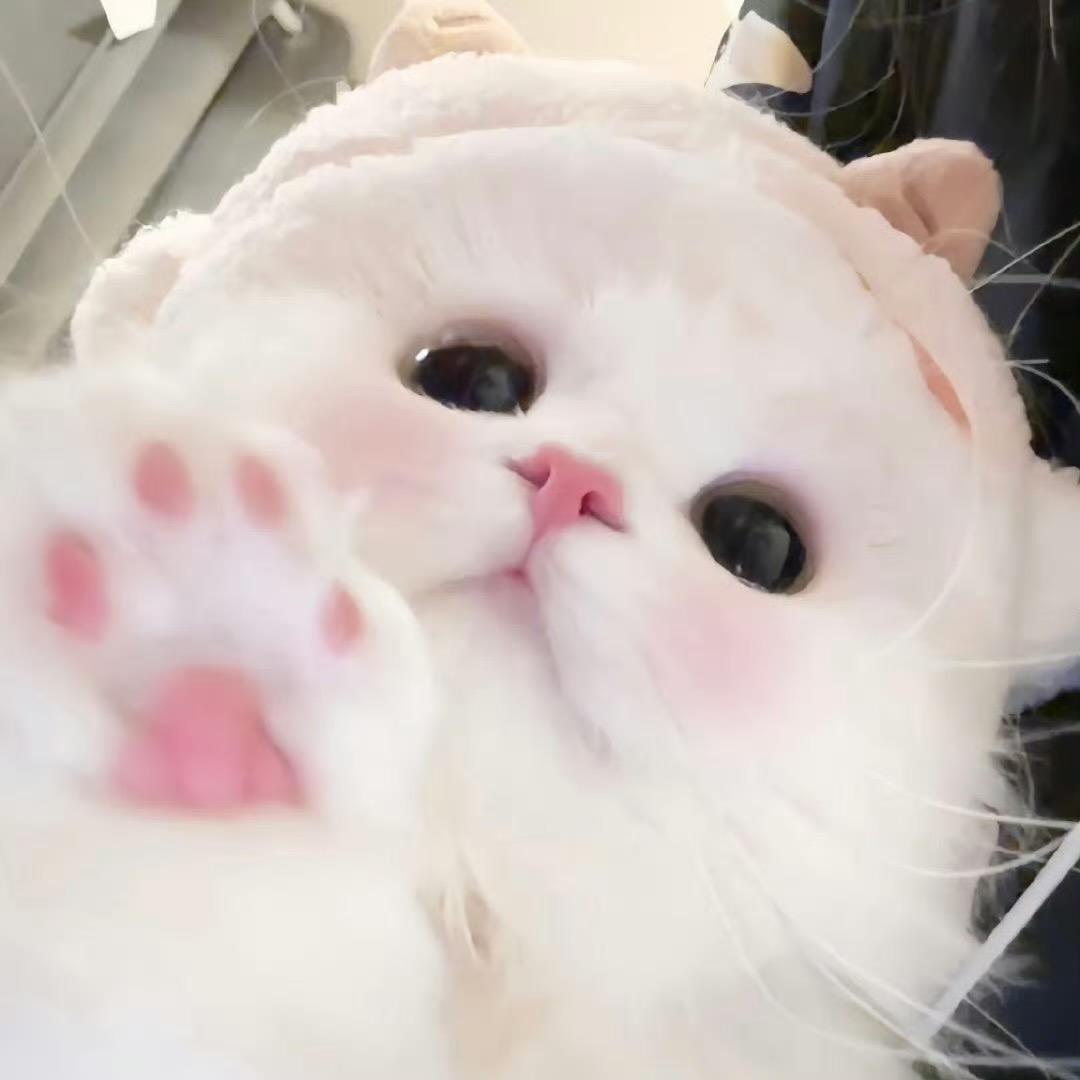 耶耶念