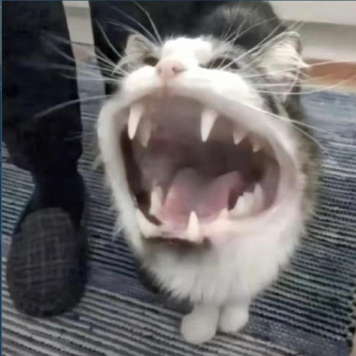 金水