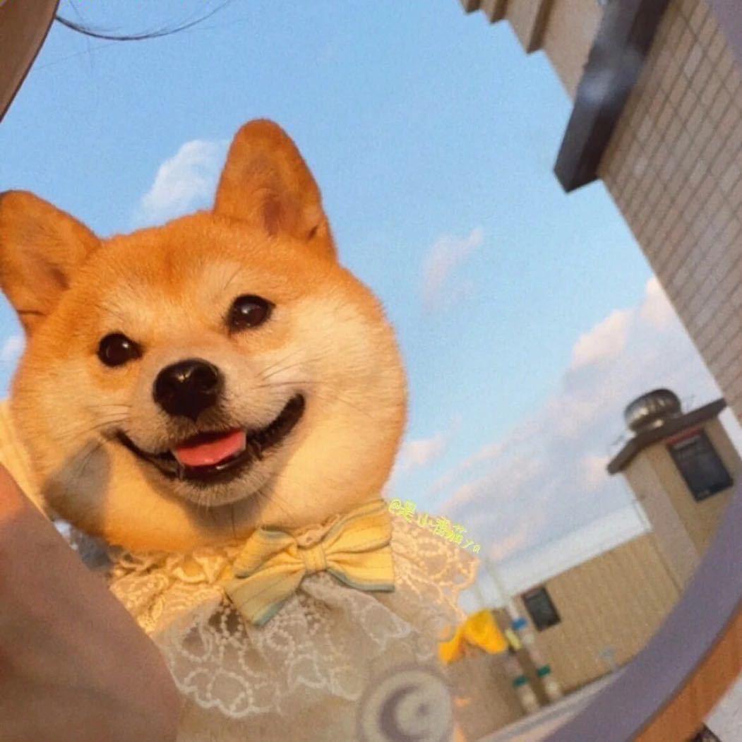 王晨🌋【副业版】