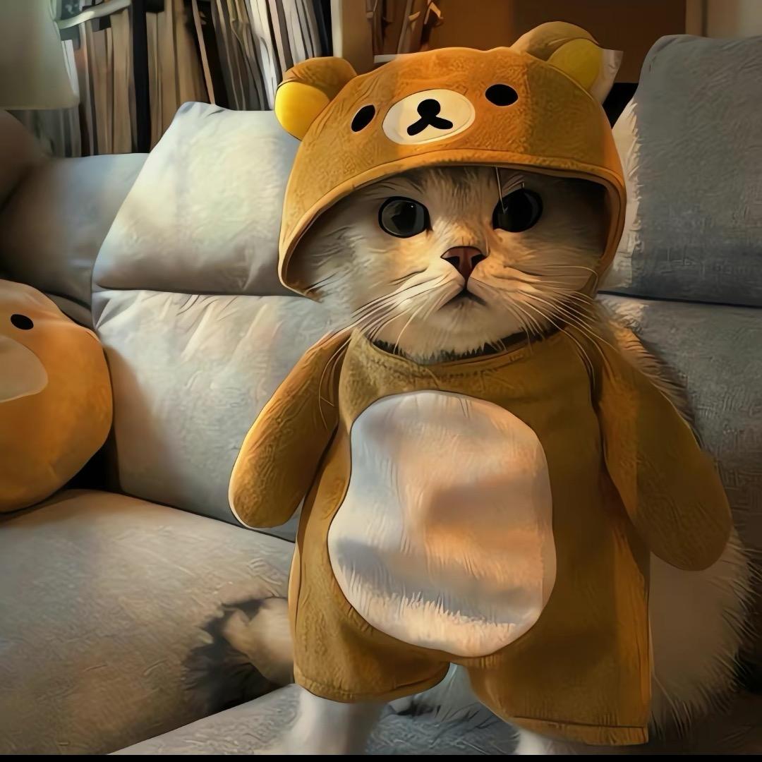 别骗蝌蚪