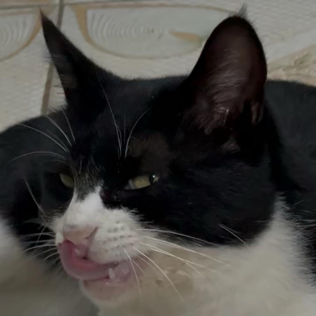 粥🥣