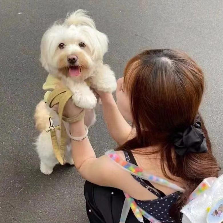 微微学姐💕