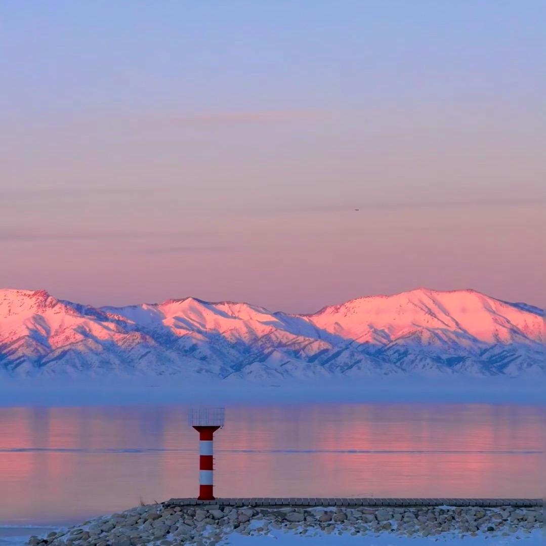 跑去养老院偷🥬