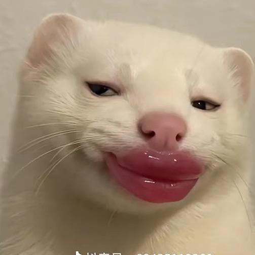 思毓