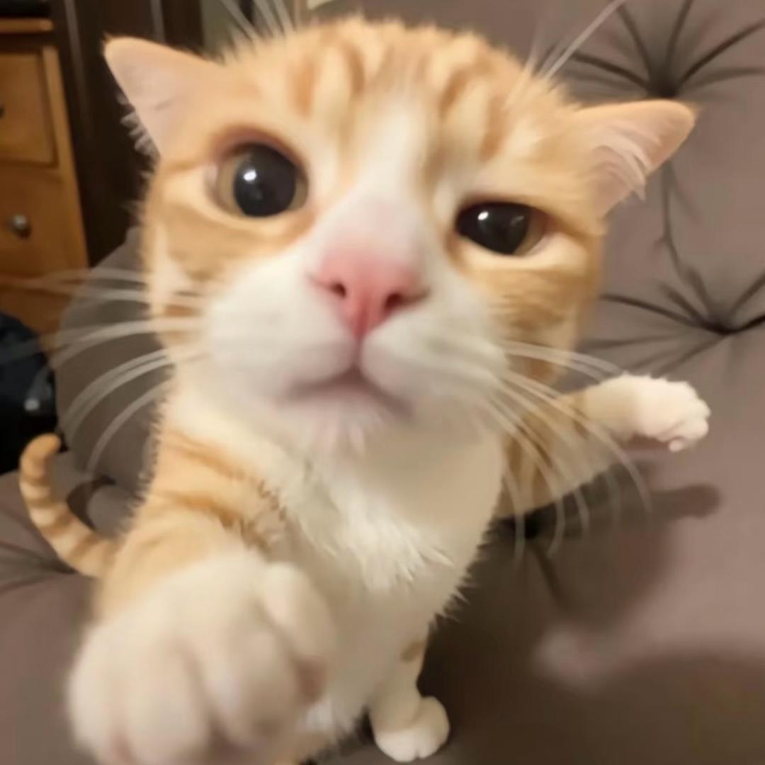 臭臭不臭🐾