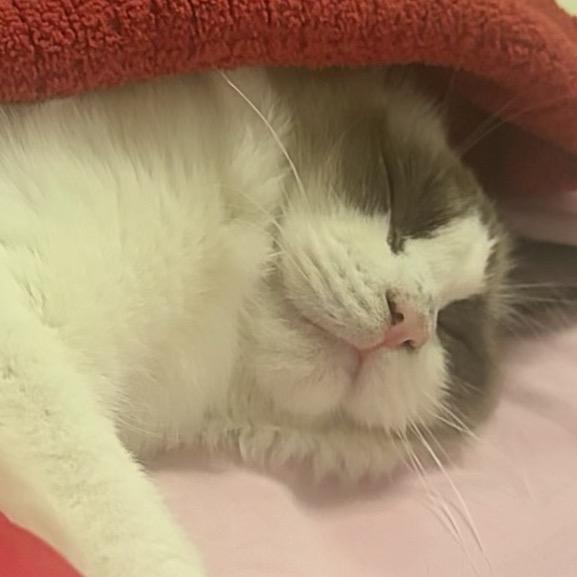 👩‍❤️‍👨