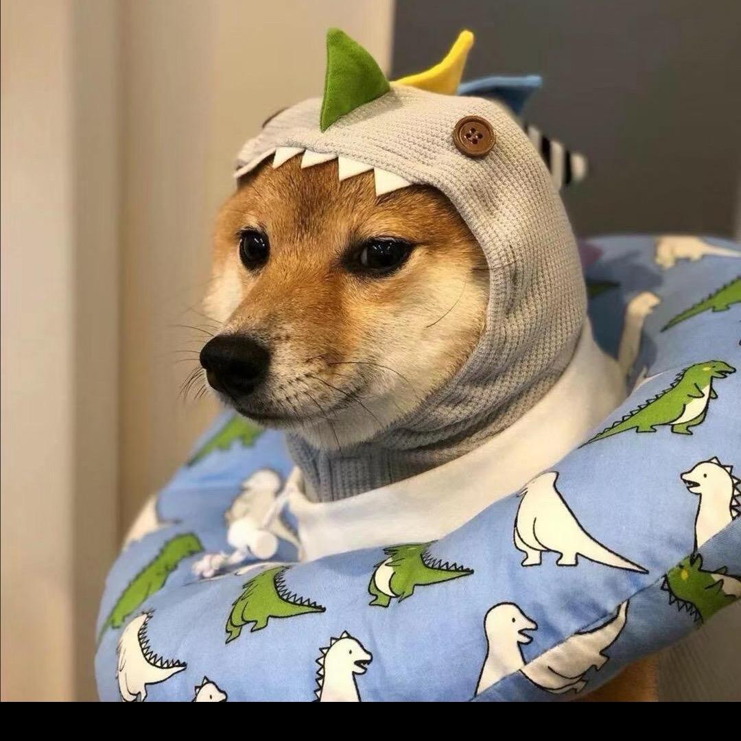 是成不是晨