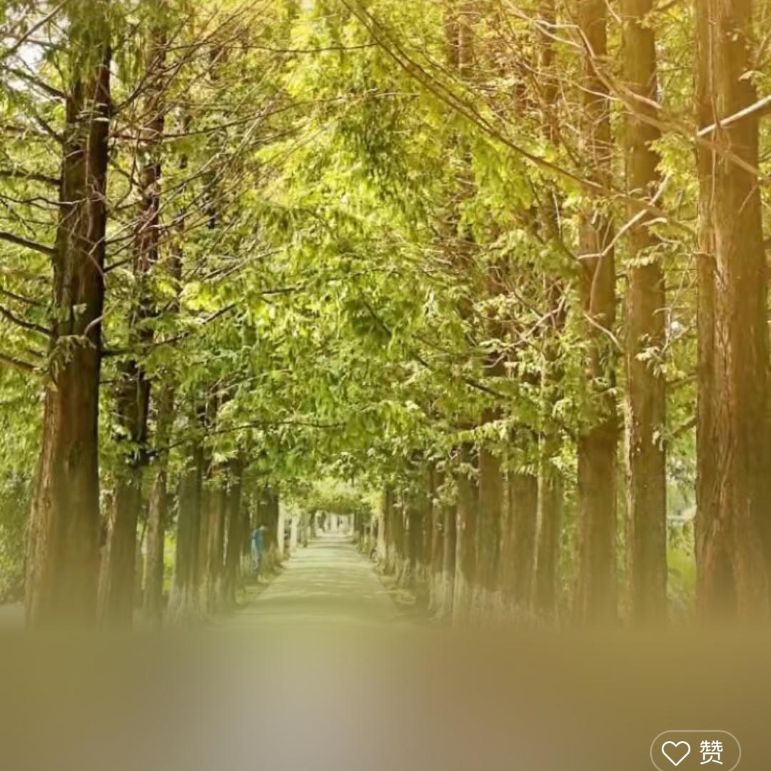 阳光总在风雨后（拒绝私聊）
