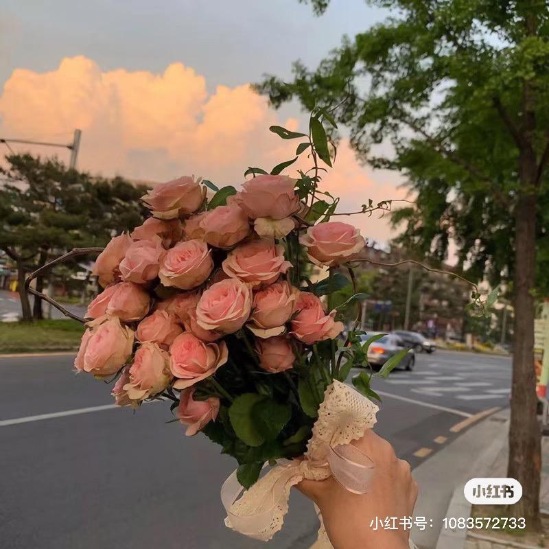 飞飞带你找工作