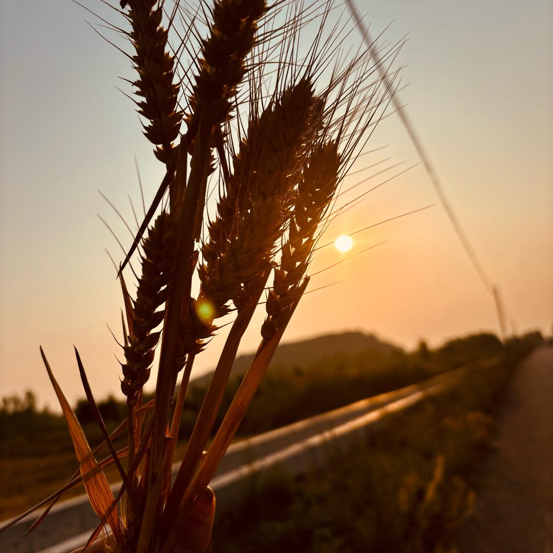 90后村干部小池⭐️