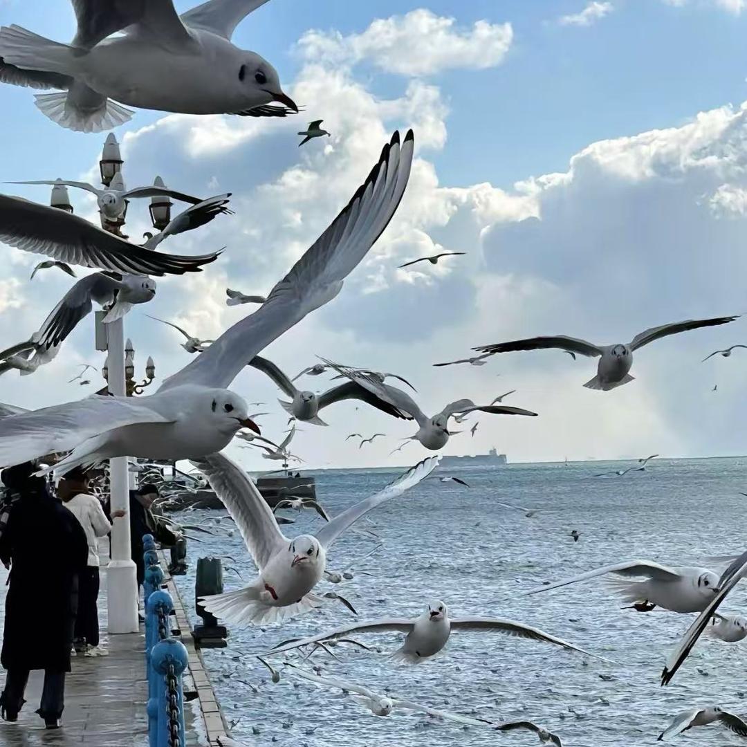 两份意式浓缩
