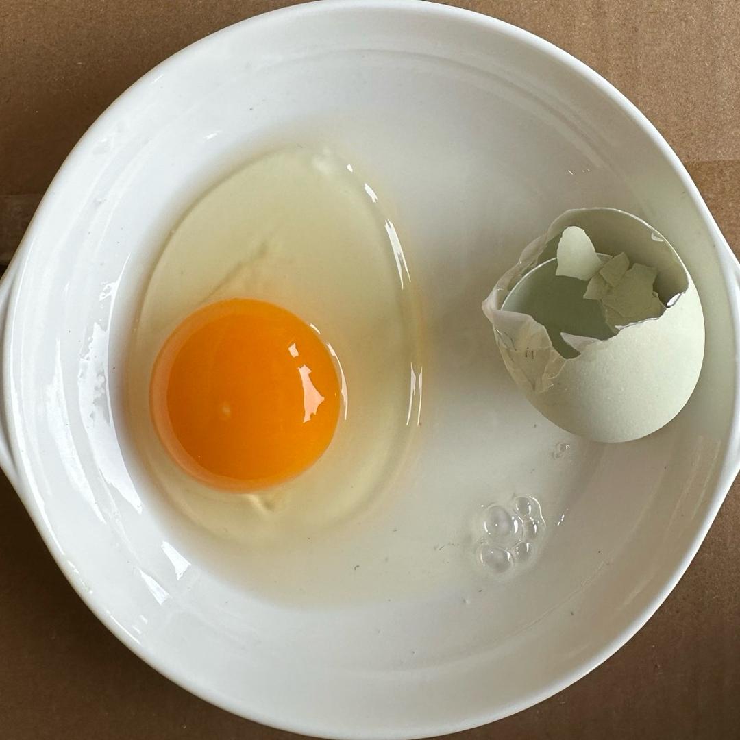 优蛋集采