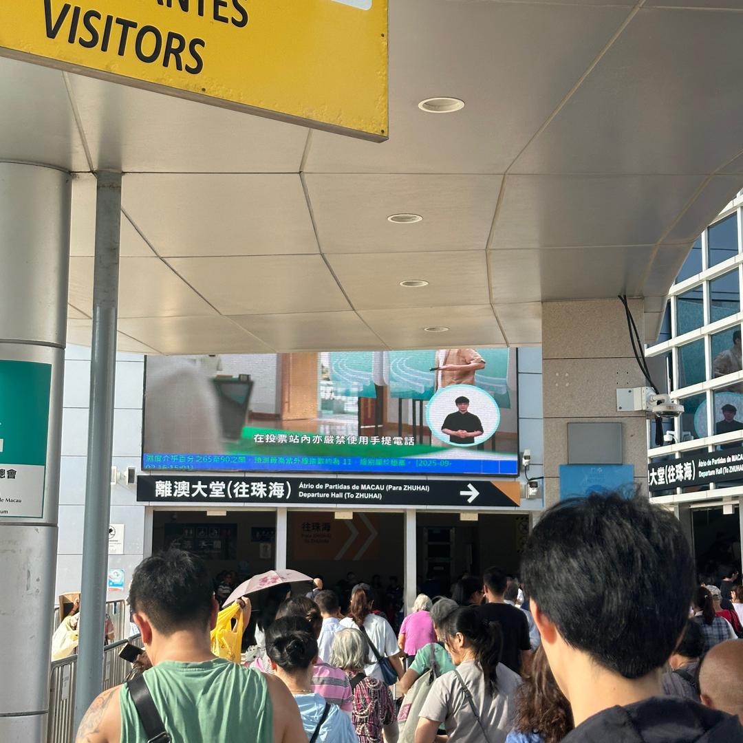 鲨鱼男孩
