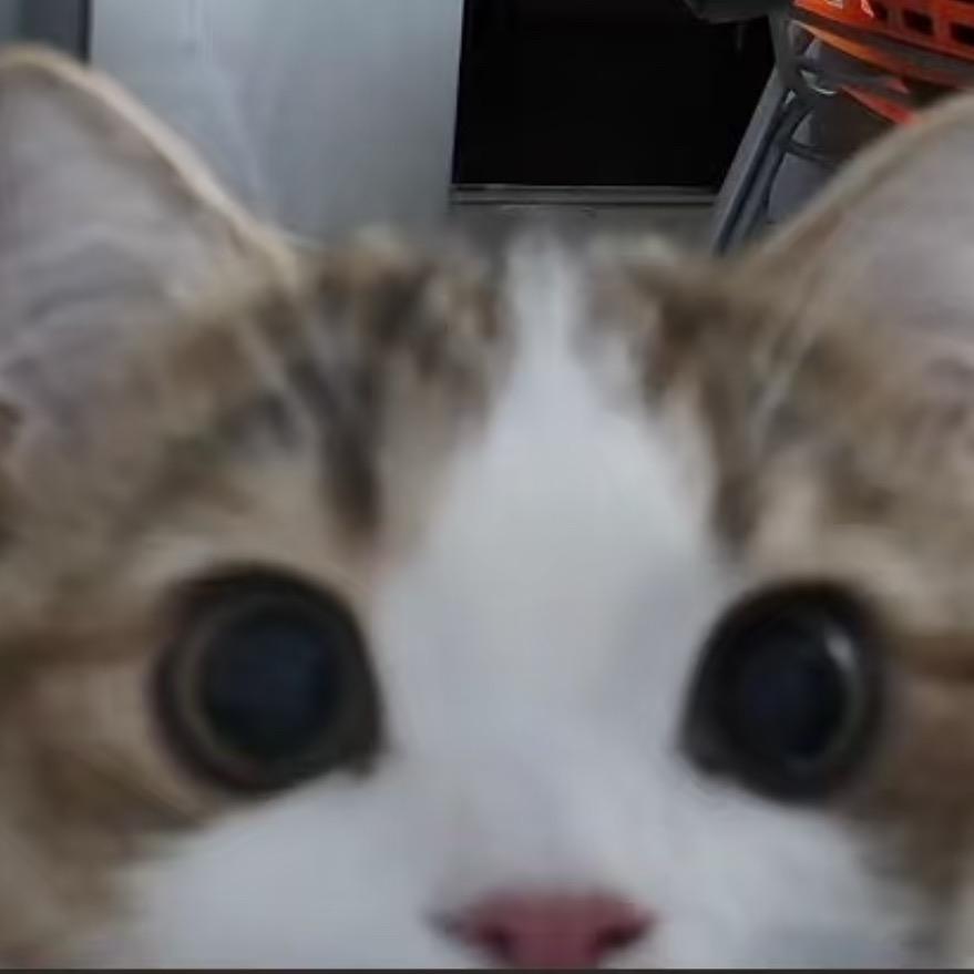 food流油的咸鸭蛋