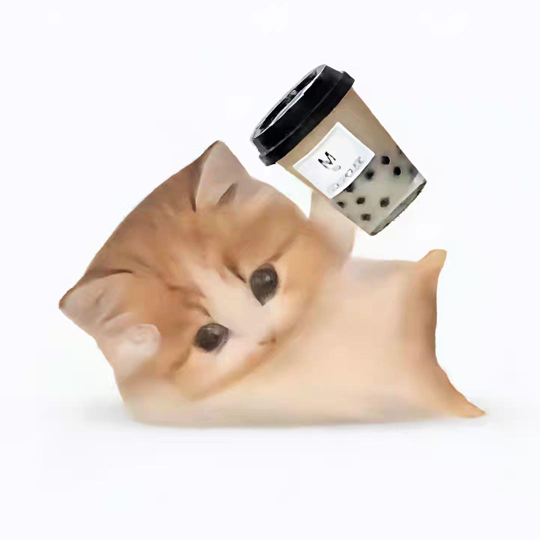 浩只呆猫