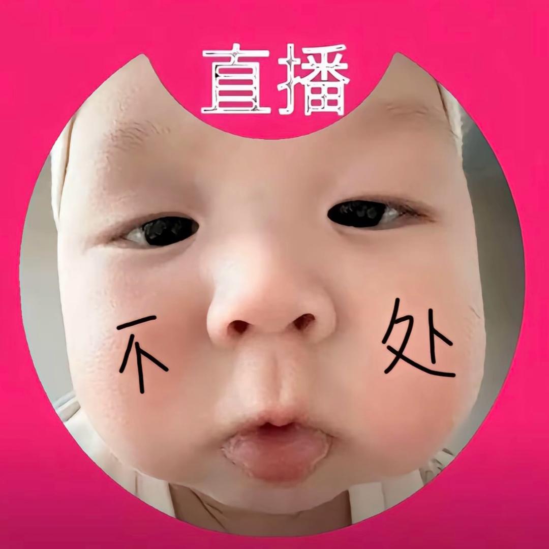 吾乃天之饺子