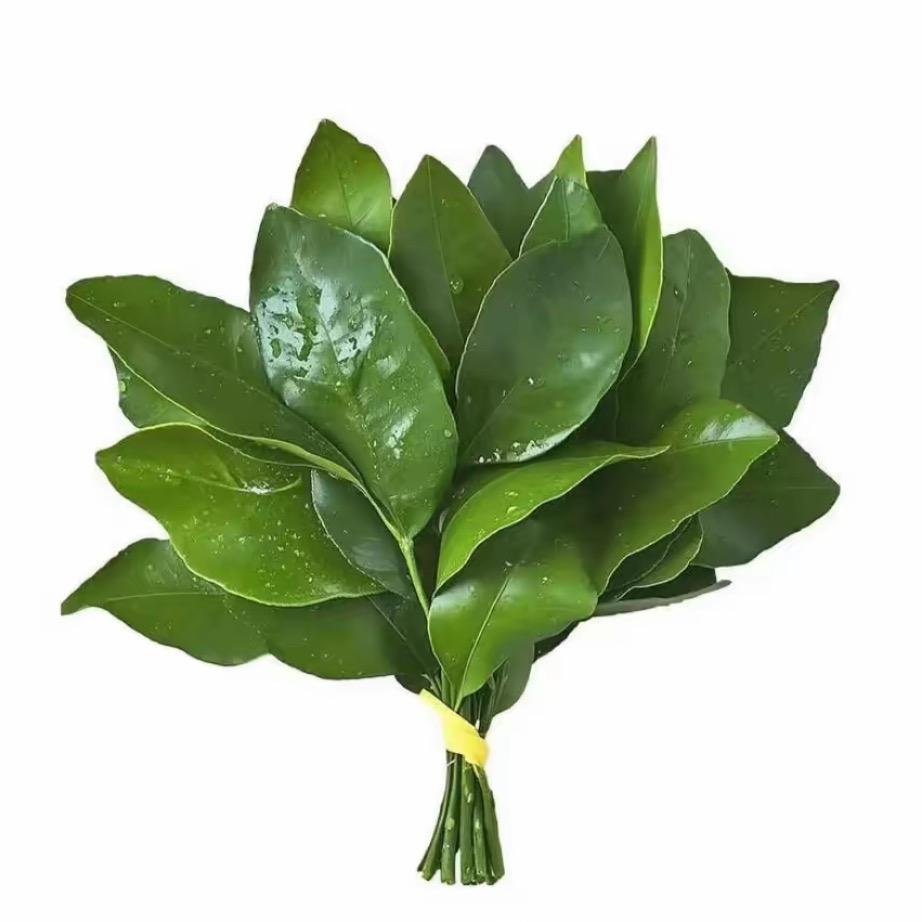 ojoj