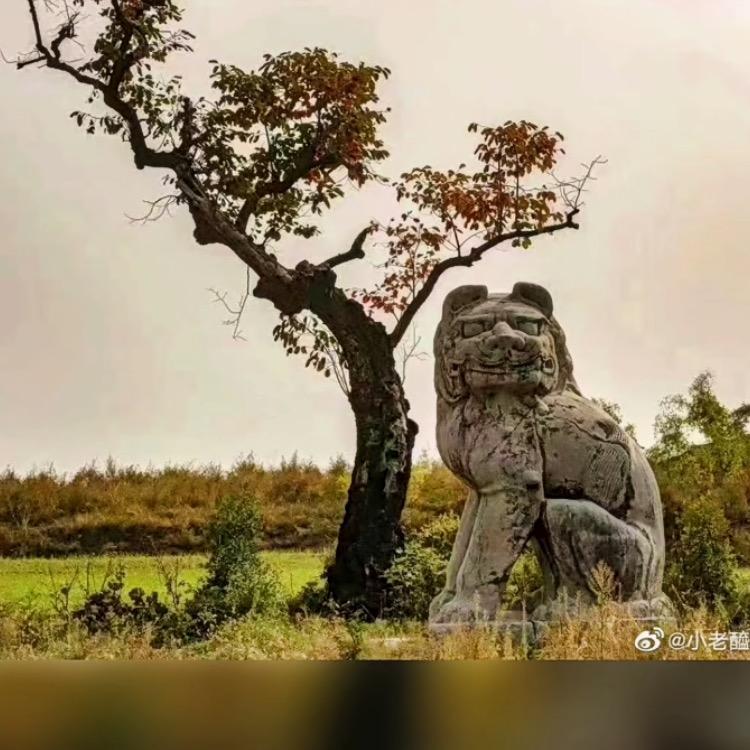 梦石源