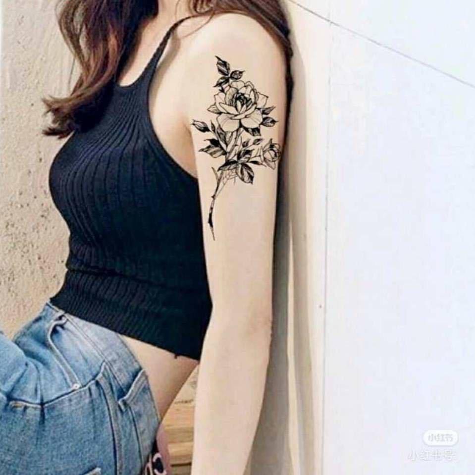 Pt小婷子