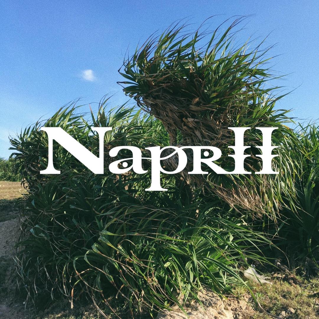 Naprii南璞粒
