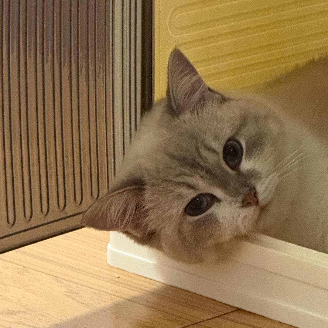 盐流