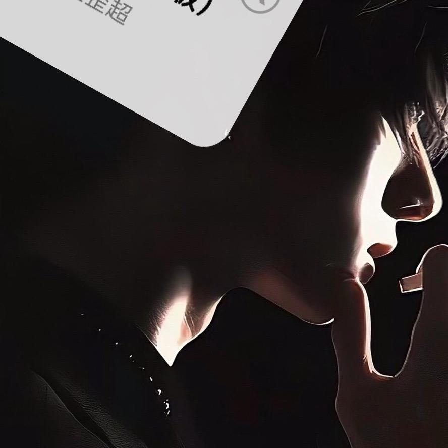 Healer（治愈者）¹¹¹⁷
