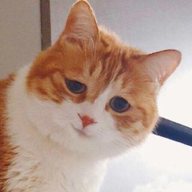 北秋北北