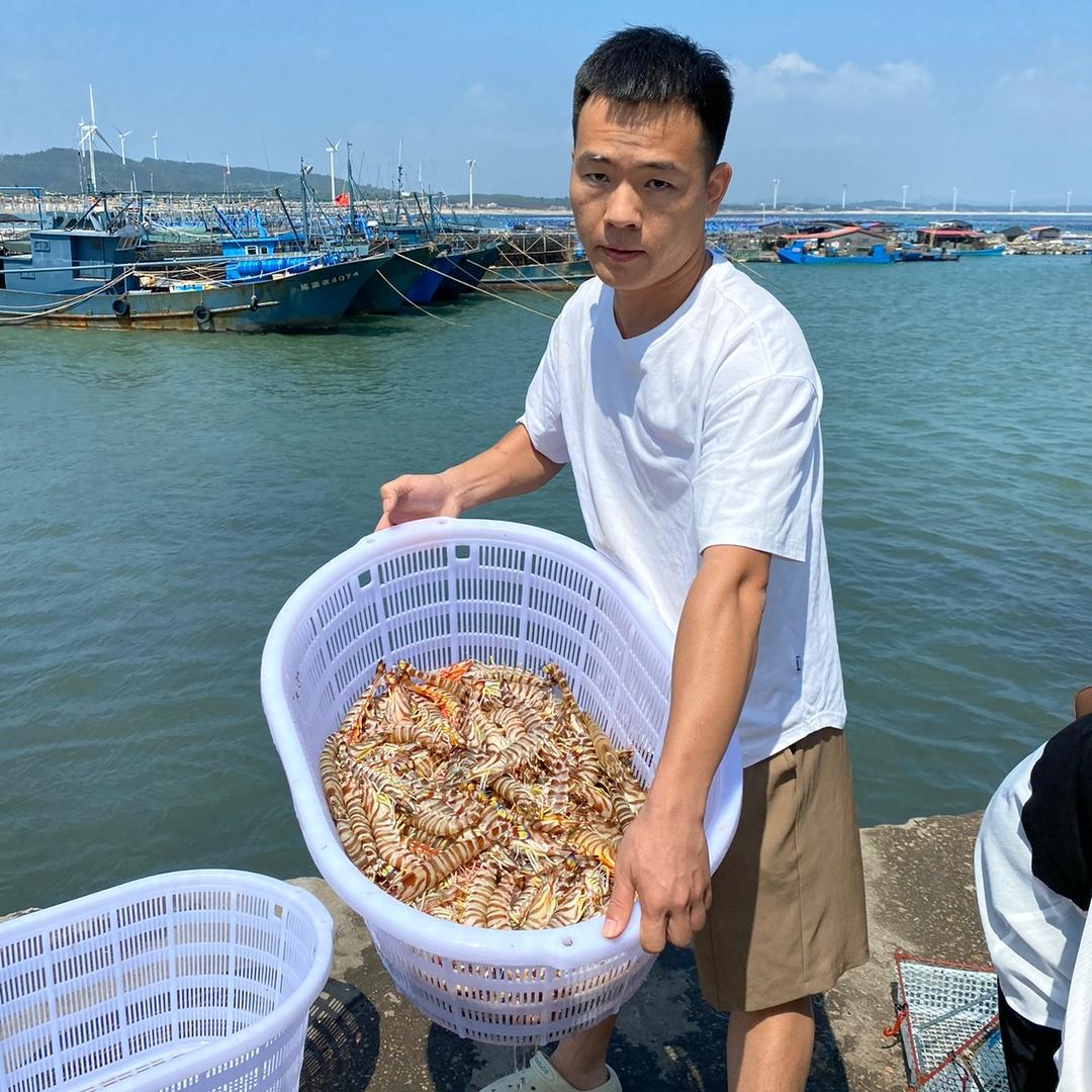 曾哇塞海鲜【码头直发】