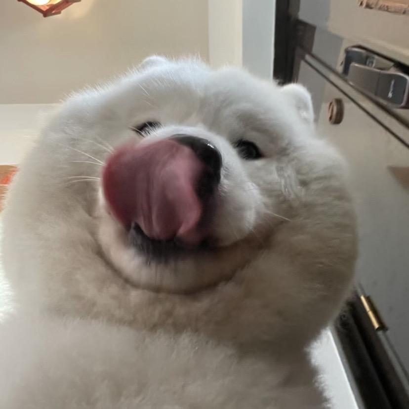 动感牛爷爷