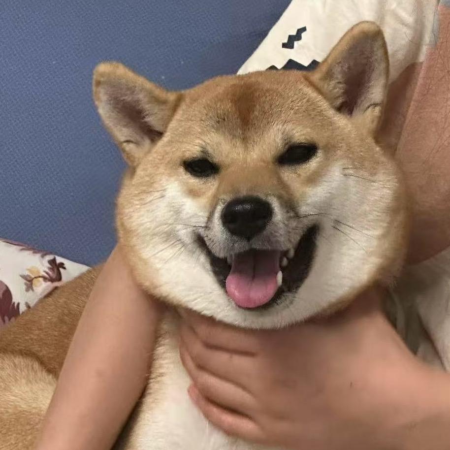 超级犟拐拐