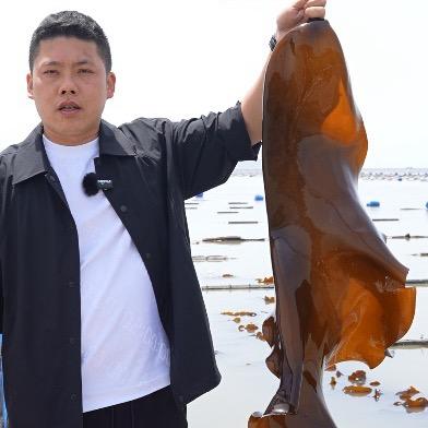 霞浦林大春海带工厂