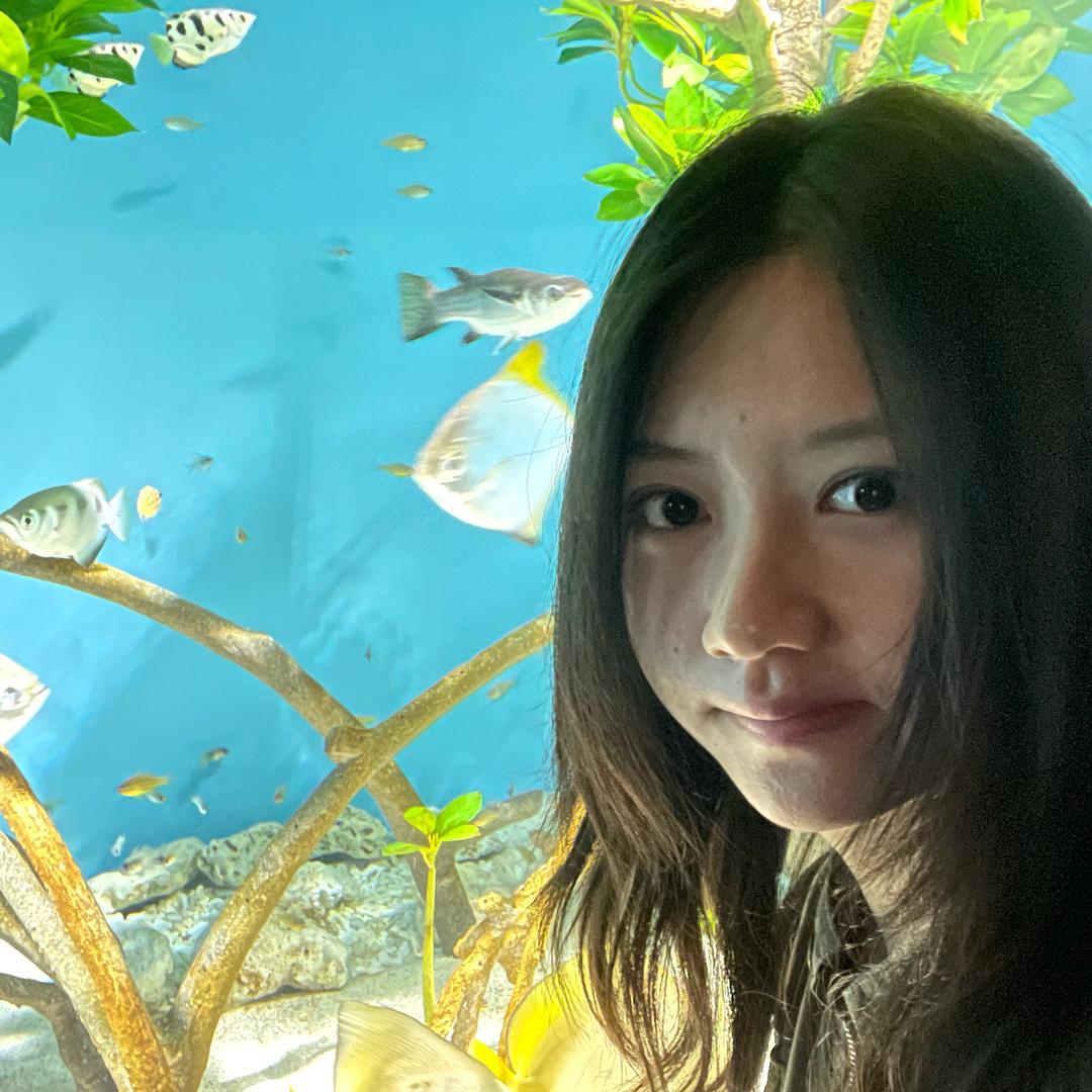小鸟坚强