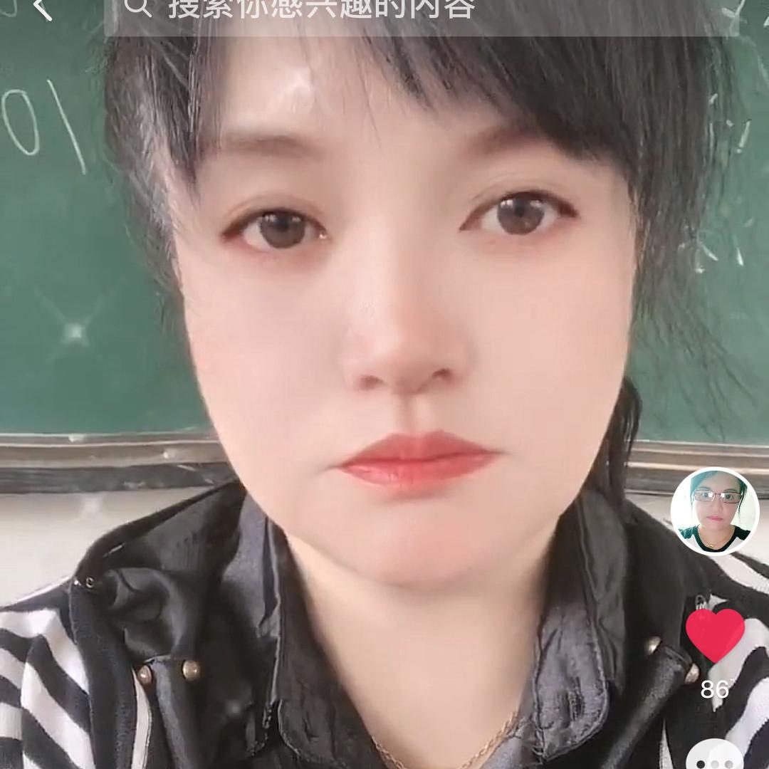 苦丁茶